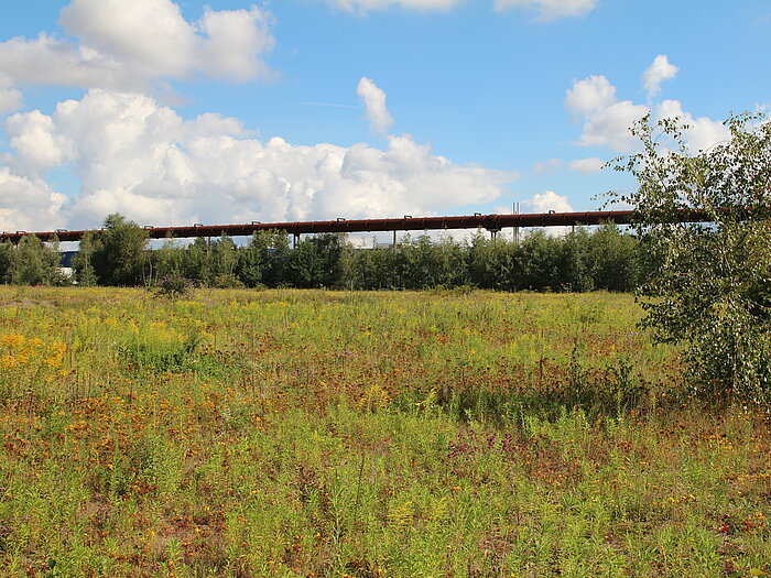 Landschaftspark