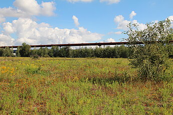 Landschaftspark